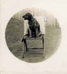 254067_10150649455720074_2043802_n