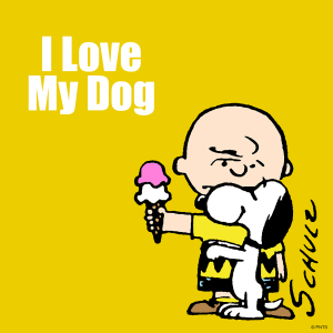 13415543_1247589781958442_7641424414110437425_o