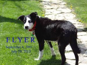 20294458_10159176100085074_2213759405674108292_n