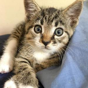 21232003_10159357596445074_679886882381763228_n