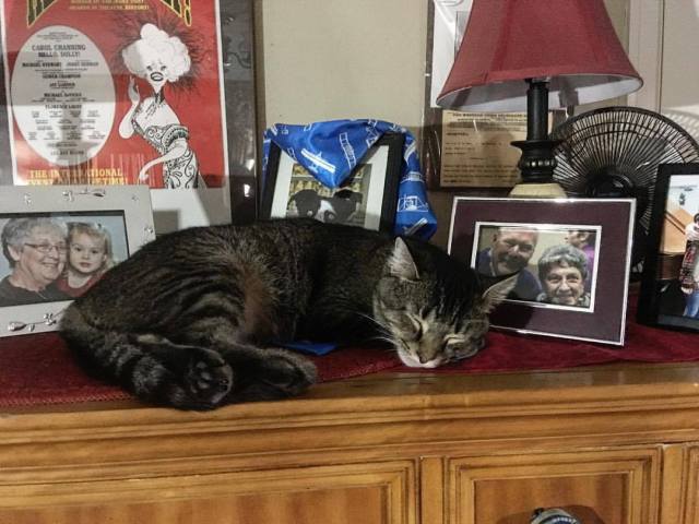 22051021_10159484285380074_4416650777916664856_o